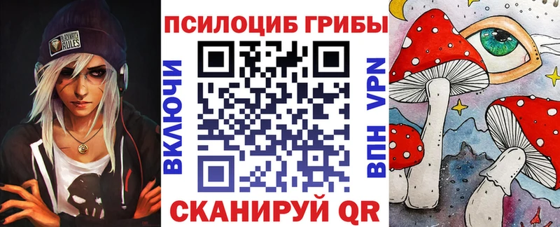 Псилоцибиновые грибы Psilocybine cubensis  Юхнов 